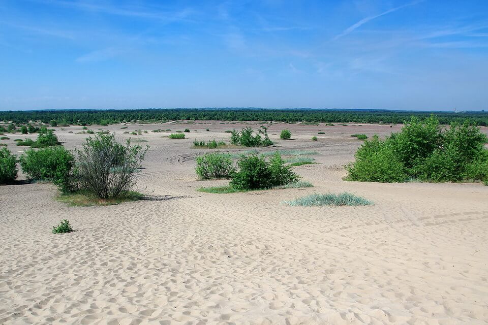Пустелі Європи – Блендувська пустеля в Польщі