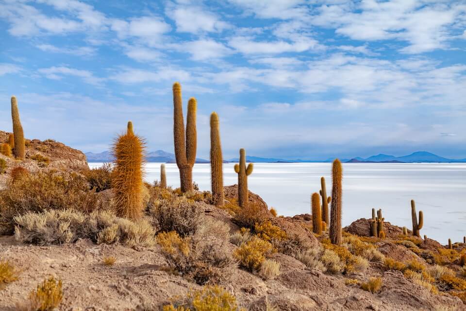 Соляна пустеля Уюні, Болівія