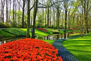 Парк Кекенхоф у Нідерландах – фото, опис, цікаві факти