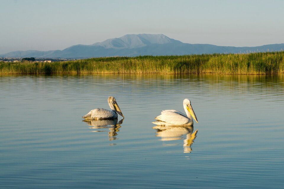 Озера Греції для відпочинку – фото, назви, опис