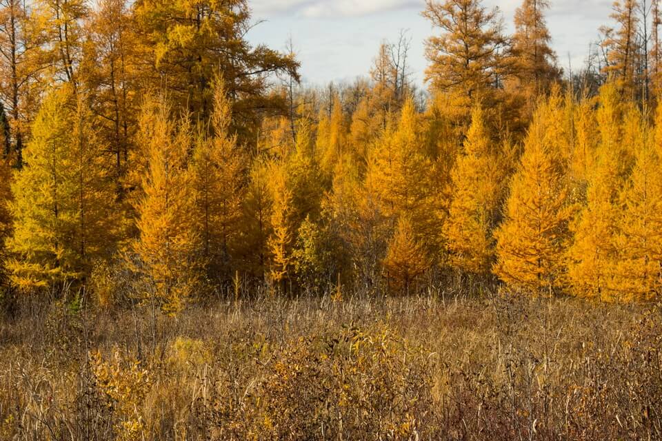 Красиві осінні краєвиди з фото